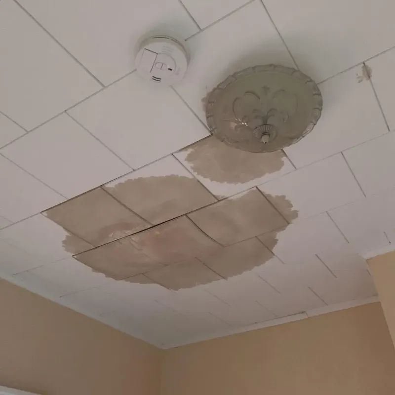 Ceiling Water Damage Repair in Farley, IA