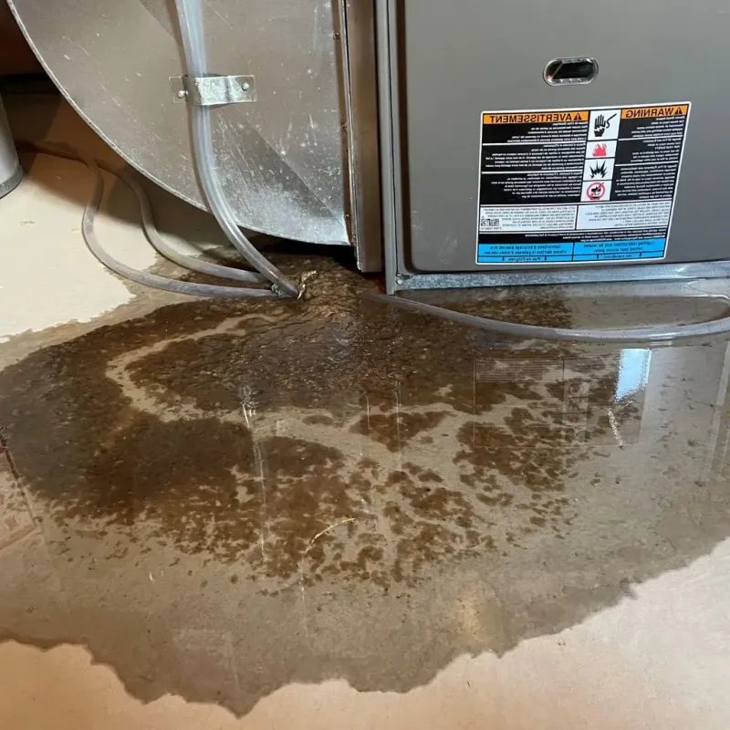 Pipe Burst and Leak Restoration in Farley, IA