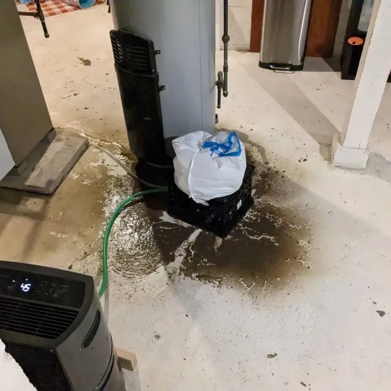 Sewage Backup Cleanup Service in Farley, IA